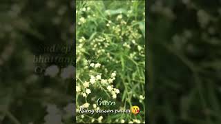 Rainy season ultimate whatsapp status