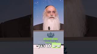 התאים בגופנו, הקשר למים ולהזדקנו. הקשיבו והפנימו 💚 הרב יובל