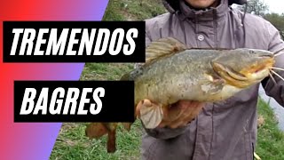 ♻️Pesca de bagres en un arroyo cerca de la ruta ,mucha  lluvia , mojada y pesca de gigantes🔥🔥