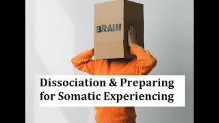 Dissociation & How to Prepare before a Somatic Experiencing Session