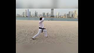 Shito-Ryu Zenkutsu Dachi Stance for beginners - SSKF Dubai