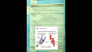 lung root |thorax anatomy| fcps part-1 preparation forum|cpsp syllabus