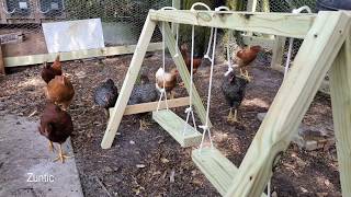 DIY Chicken swing - Building a chicken swing set