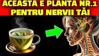 PLANTA NR. 1 PENTRU A TRATA NERVII INSTANTANEU | NEUROPATIE