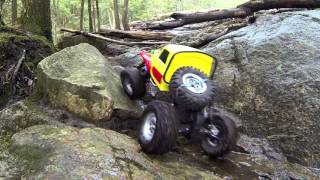 RS10 Truggy - in forest