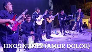 HNOS NUÑEZ (AMOR DOLOR) EN VIVO