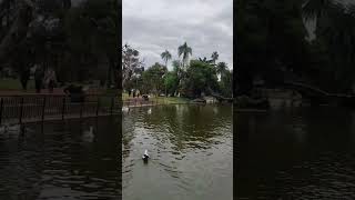 Lago de Palermo en el Parque El Rosedal, Buenos Aires