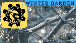 Indoor Gardening in the Winter in Colorado #8