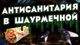 ШАУРМА В ТУЛЕ / ЧАТ РУЛЕТКА