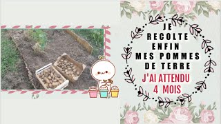 point potager + récoltes