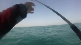 michael fajardo fishing trip in abu dhabi may 2 2019