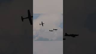 Aerial Courtship: Solo Trainer Aircraft Executes Rolls Around Pair in Flight #short #shorts