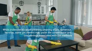 Navigating the Choice Between Professional and DIY Carpet Cleaning for Pet Owners