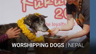 Worshipping Dogs | Nepal