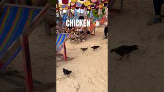 🐔 Chicken Island  🇹🇭