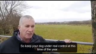 UFU deputy president Victor Chesnutt, discusses walks, gates and lambing