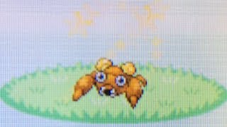 LIVE! Shiny Paras in the Safari Zone after 3,708 REs in Fire Red!! W/F? (Phase 4)