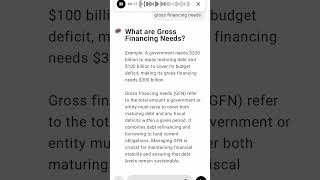 What are Gross Financing Needs?