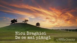 Nicu Drăghici - De ce mai plângi (live)