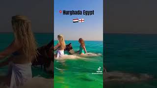 : experience of riding an Egyptian horse in the Red Sea, Egypt