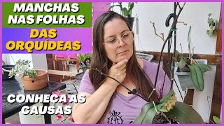 PRAGAS E DOENÇAS: O Que São essas MANCHAS Nas Folhas das ORQUÍDEAS e Como Tratar