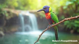 Relaxing Nature Bird Sounds for Deep Sleep