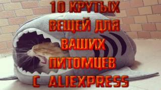 10 КРУТЫХ ВЕЩЕЙ ДЛЯ ВАШИХ ПИТОМЦЕВ С ALIEXPRESS