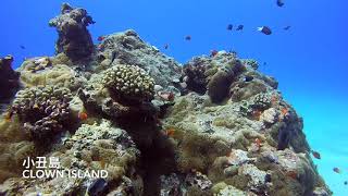 Green Island Dive Trip 2018 (shot with Gopro hero7 black underwater during scuba diving) 綠島 深潛 3天2夜