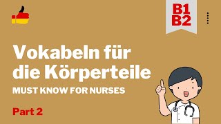 Wichtige Vokabeln - die Körperteile Part 2 - telc B1 B2 Pflege Learn German for Nurses