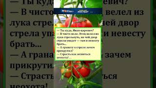 Ты куда, ЦАРЕВИЧ #анекдоты #приколы #радость #шортс #смех #шутки #юмор#рекомендации