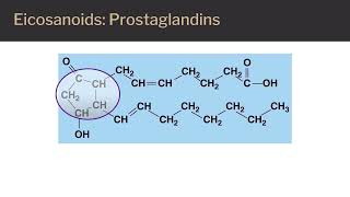 Lipids