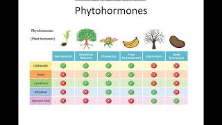 Plant Tissue Culture Basics Part 1