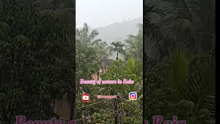 Beauty of nature #nature #rain #beauty #trending #shorts #youtubeshorts