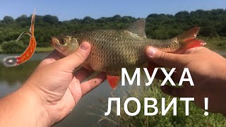 КРУПНАЯ КРАСНОПЕРКА НА МУХУ, МОРМЫШИНГ.