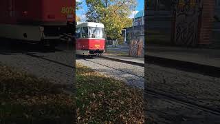 Příjezd tramvaje ČKD TATRA T3M.2 Ev.č.8076 do zastávky Královský letohrádek #tram #ckd #dpp #shorts