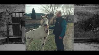 El mundo rural, el gran abandonadorural