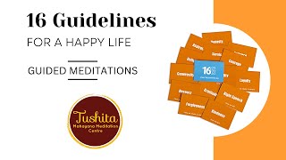 16 Guidelines for a Happy Life: 9. Respect  - Guided Meditation