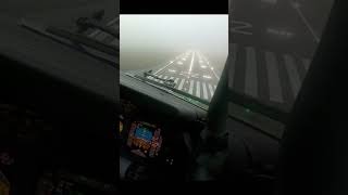 Boeing 737 Heavy Fog Landing! | Daily dose of aviation #aviation #shorts