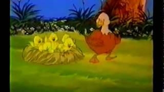 El Patito Feo | Video Reflexión | Encuentro Cristiano