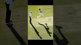 Dale Steyn has the most Beautiful fast bowling Action i have seen