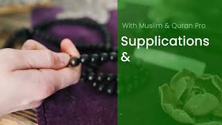 Best Islamic App For Muslims | Muslim & Quran Pro - Become a Better Muslim