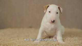 Unleashed: Fascinating Facts about Bull Terriers You Didn't Know!