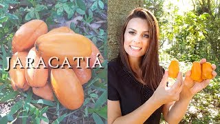 JARACATIÁ | Madame das Frutas