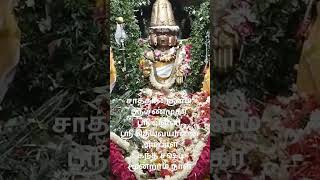 Kandha Sashti 3rd day