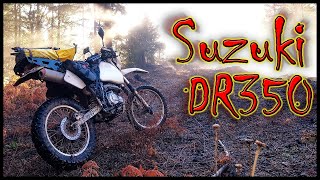 Fall Forest Adventure 2021 || Suzuki DR350 Dual Sport