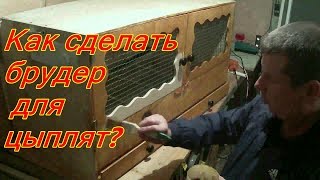 Как сделать брудер для цыплят?