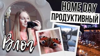 VLOG: ПРОДУКТИВНЫЙ ДЕНЬ, как я учу французский ? НОВЫЙ ПИТОМЕЦ, study with me, вечерний Киев 2021