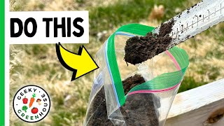 One Simple Task To Make Your Garden EXPLODE With Growth! 👨🏻‍🌾