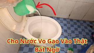 Hóa Ra Việc Đổ Nước Vo Vào Bồn Cầu Lại Hiệu Quả Đến Như Vậy. Cách Loại Mùi Hôi Bồn Cầu Cực Hay