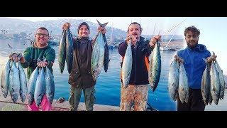 Belgesel Tadında Palamut Torik Avı & Bonito Fishing & カツオ 釣り